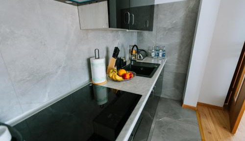 One-Bedroom Premium Apartment