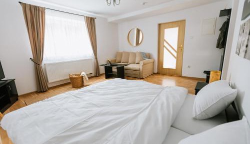 One-Bedroom Family Apartment