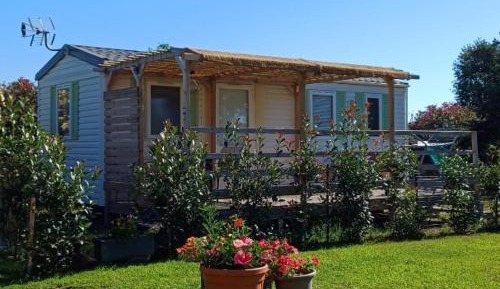 Mobile Home