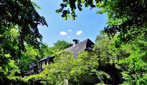 Two-Bedroom Superior Apartment