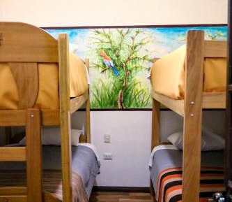 4-Bed Mixed Dormitory Room