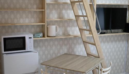 One-bedroom Loft Apartment 