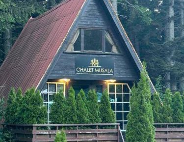 One-Bedroom Chalet