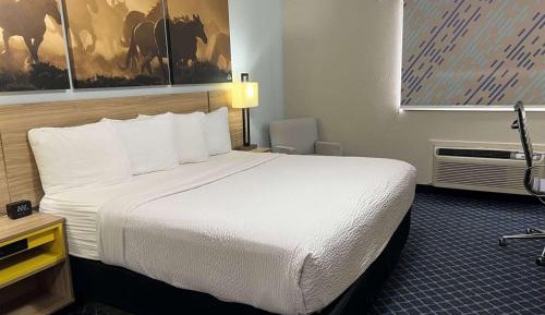 King Room with Roll-In Shower - Mobility/Hearing Accessible - Non-Smoking