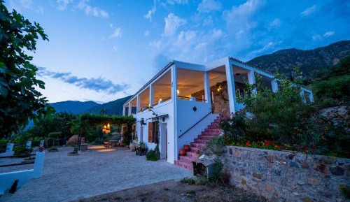 Double Room with Terrace