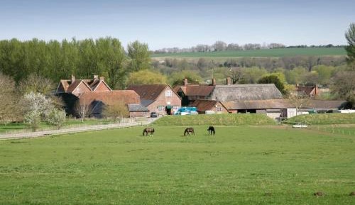 Three-Bedroom Cottage