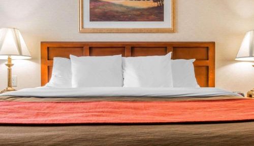 Premium Queen Room