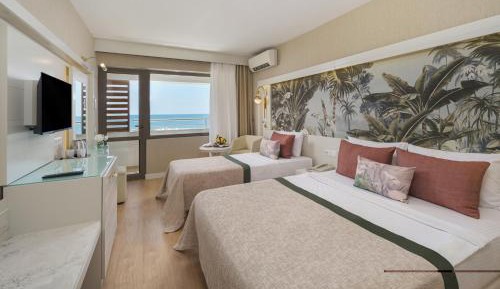 Premium Standard Room