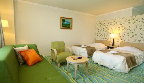 Large Twin Room - Non-Smoking