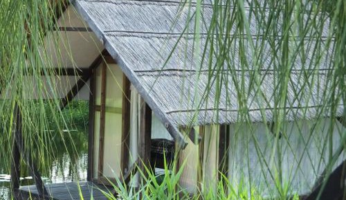 Bungalow - Water Front 