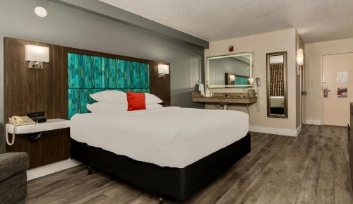 Queen Room - Disability Access