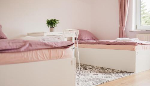 Single Bed in Female Dormitory Room