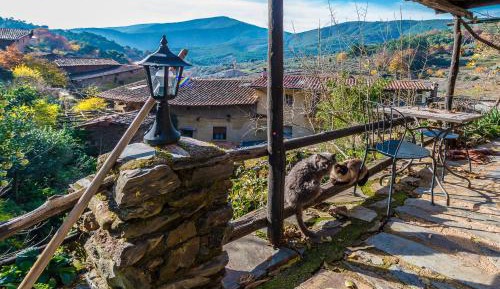 Bungalow with Garden View