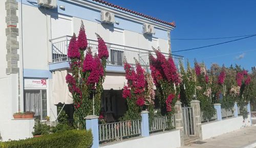 Studio (2 Adults)