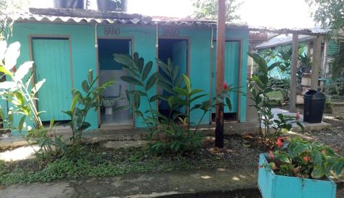 Single Bed in Mixed Dormitory Room