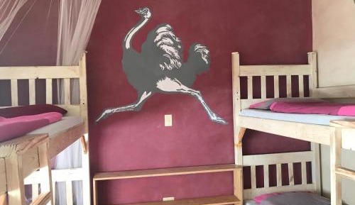 4-Bed Female Dormitory Room