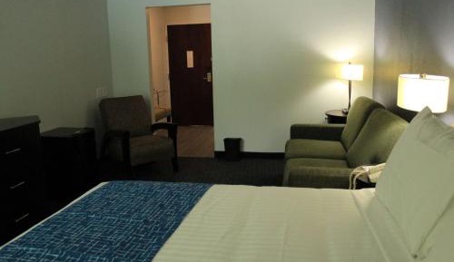 King Room - Pet Friendly/Non-Smoking