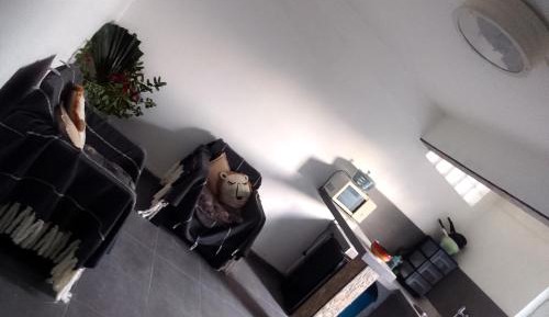 Studio with Garden View