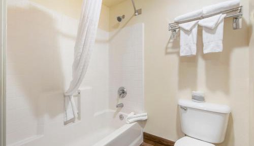 King Room - Pet Friendly/Non-Smoking