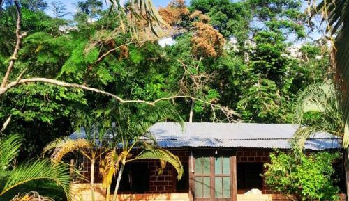 Family Bungalow