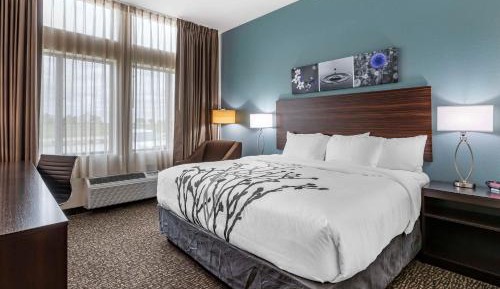 King Room with Roll-In Shower/Disability Access - Non Smoking