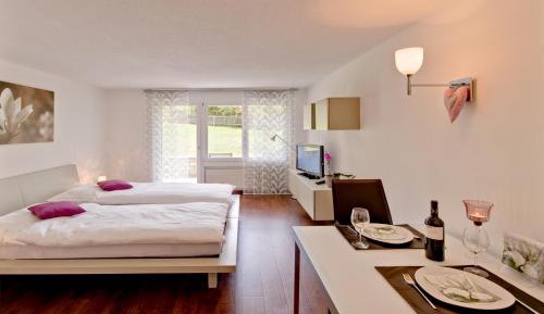 Apartment with Mountain View