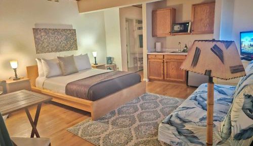 Deluxe Double or Twin Room with Pool Access