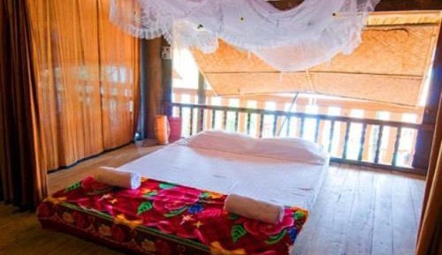Mixed Dormitory Room