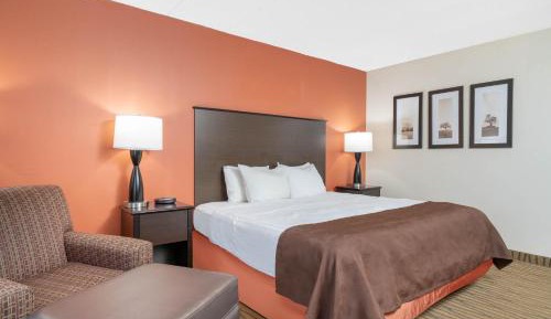Superior Single Room