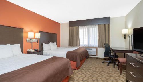 One-Bedroom Suite