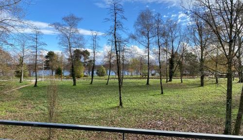 Studio with Lake View