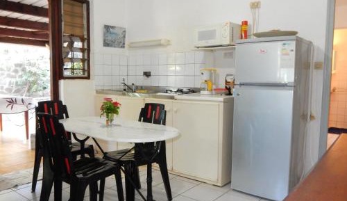 Apartment with Terrace (F1)