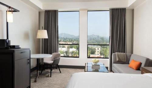    Deluxe Guest room 1 King 