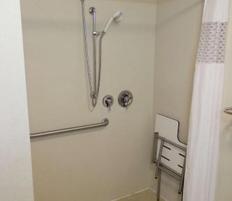 King Suite with Roll-In Shower - Mobility and Hearing Access/Non-Smoking