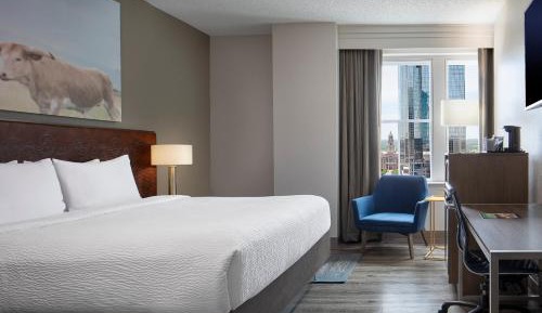 1 Bedroom Suite, 1 King, Sofa bed