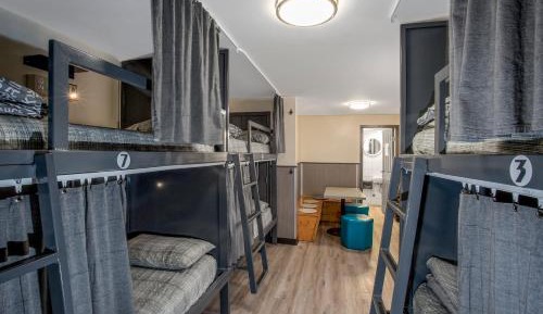 Bunk Bed in Mixed Coed Dormitory Room