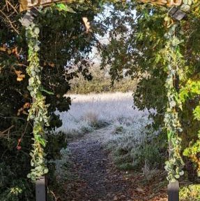 Studio with Garden View