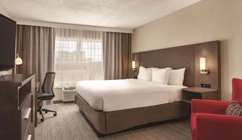 King Room