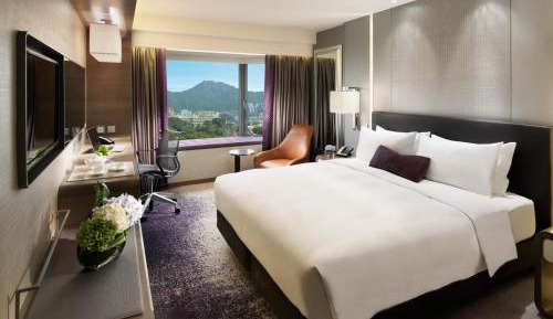 Plaza Deluxe King Room 