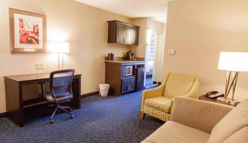 One-Bedroom Suite