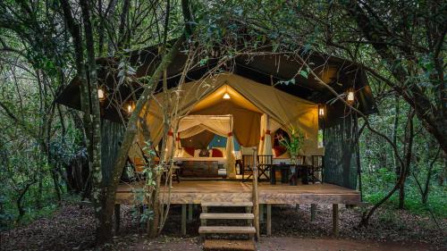 Tent