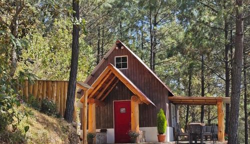 Family Bungalow