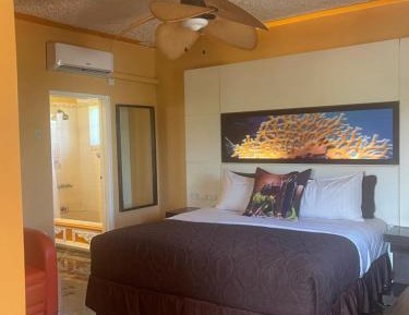 King Room with Sea View