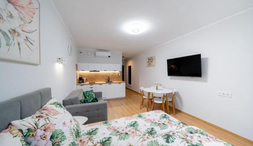 Family Studio