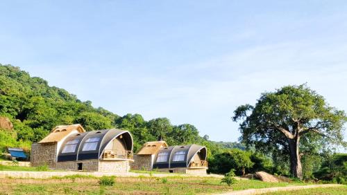 Safari Luxury Glamping