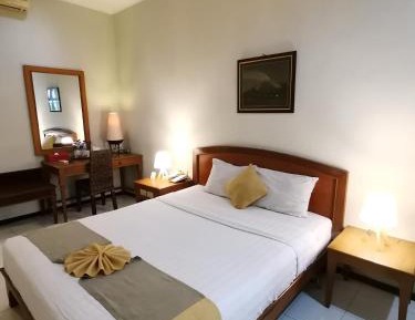 Superior Double or Twin Room
