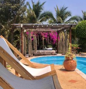 King Room with Pool View