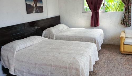 Deluxe Double or Twin Room with City View