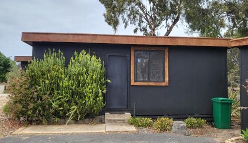 Bunk Bed in Mixed Dormitory Room