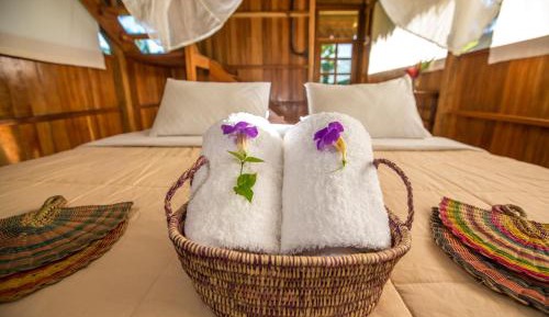 Deluxe Double or Twin Room with Garden View